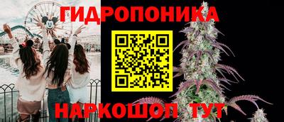 ECSTASY Будённовск