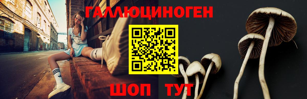 Псилоцибиновые грибы Magic Shrooms  Вход с VPN  Галлюциногенные грибы Magic Shrooms  Нижний Тагил 